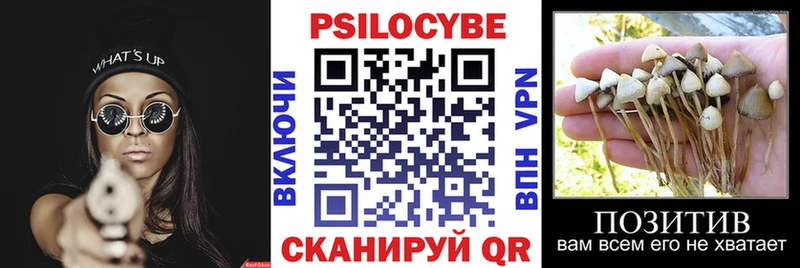 где продают наркотики  Спас-Деменск  Галлюциногенные грибы мицелий 